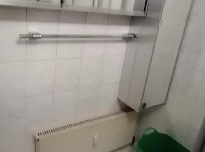 Grünes Apartment Bingen am Rhein