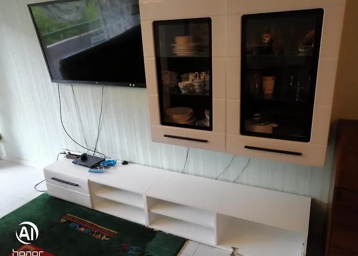 Apartamento Grünes Apartment Bingen am Rhein