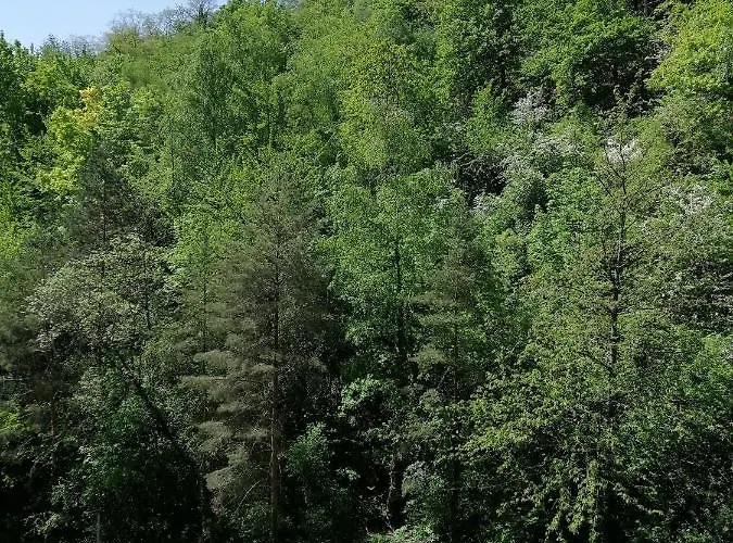 Schoenes Apartment Mit Pool&Sauna